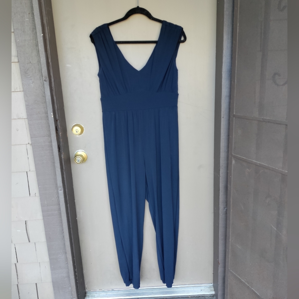 Velvet by Graham and Spencer Navy Blue Sleeveless Jumpsuit